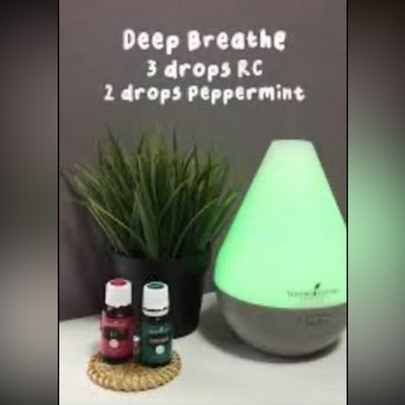 Dewdrop Diffuser/Humidifier - Picture 9 of 9